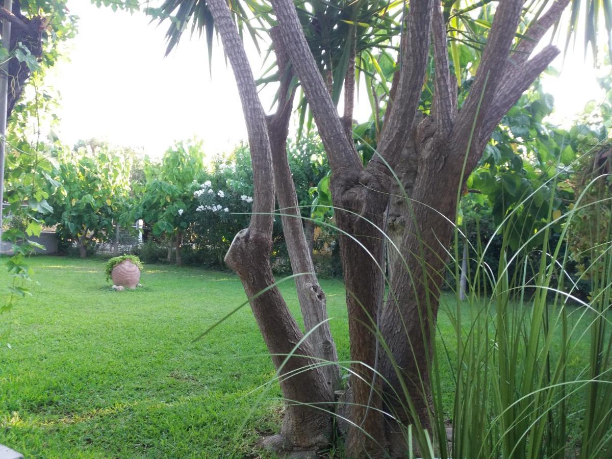 Beach House For Up To 9 People Near Olympia Katakolo Luaran gambar